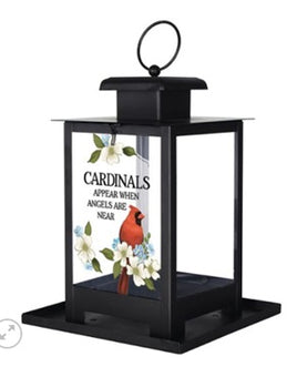 Cardinals Appear Birdfeeder    CR1557199