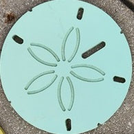 Wood Sand Dollar Wall Decor