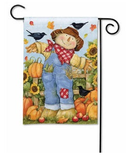 Garden Scarecrow Garden Flag                    SD-32423
