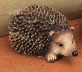 Cute Little Set of Hedgehogs     GR023340