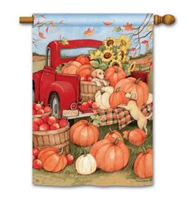 Pumpkin Delivery Standard Flag                  SD-91964