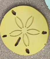 Wood Sand Dollar Wall Decor
