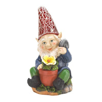 solar gardening gnome         sg-1016216