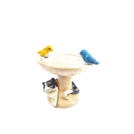 birdbath with sleeping kitten                             041824