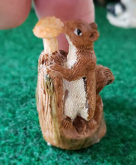 little squirrel with tree stump                          031793t