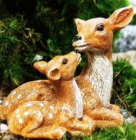 mom & fawn resting deer            072033
