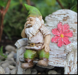 mini iggy the gnome   030255