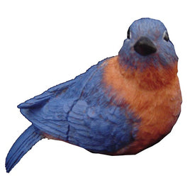fly thru - eastern blue bird                         52066