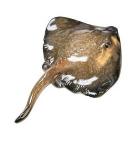 sting ray figurine magnets                h5293-2