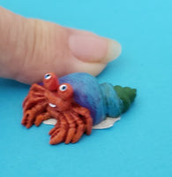 tiny blue shell hermit crab                sd-me197/fdc