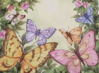 butterfilies personalized notes                    n-15 butterflies