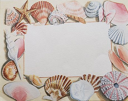 sea shells personalized notes                           n-5
