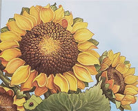 sunflowers personalized notes                    sv-4