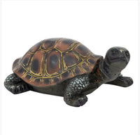 gopher polysone box turtles               ww-1718-5 4. ww-1718-db dark brown gopher turtle