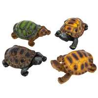 gopher polysone box turtles               ww-1718-5