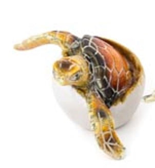 resin assorted 2" baby hatchling turtles                    ww-354-2 3) ww-354-o  orange baby hatchling turtle